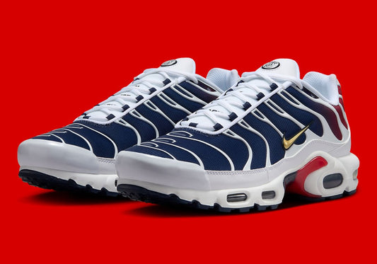 Nike Air Max Plus PSG