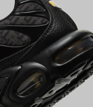 Nike Air Max Plus ASH