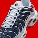 Nike Air Max Plus PSG